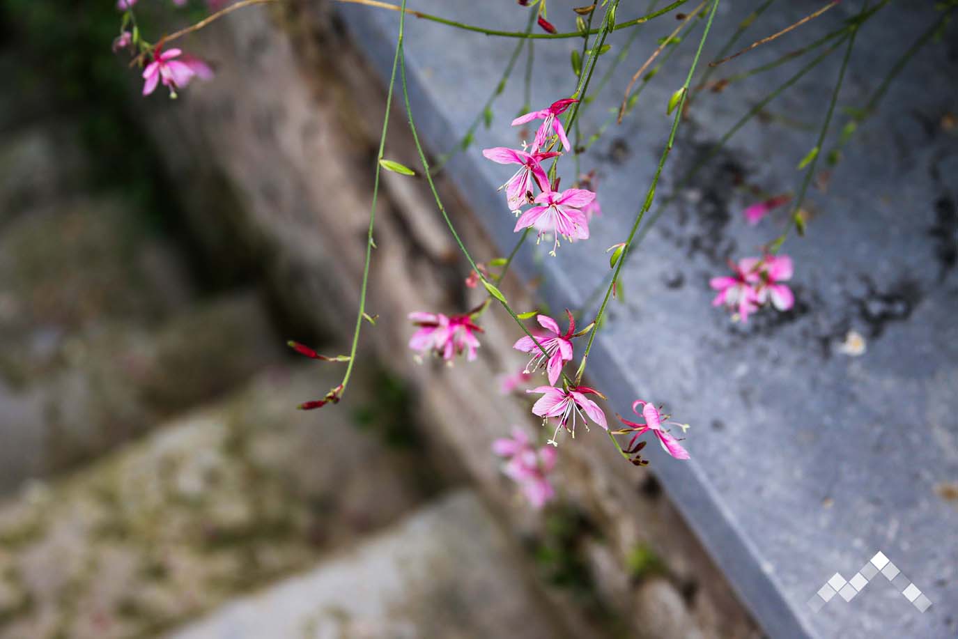 HISTOIRE DU TEMPS-54