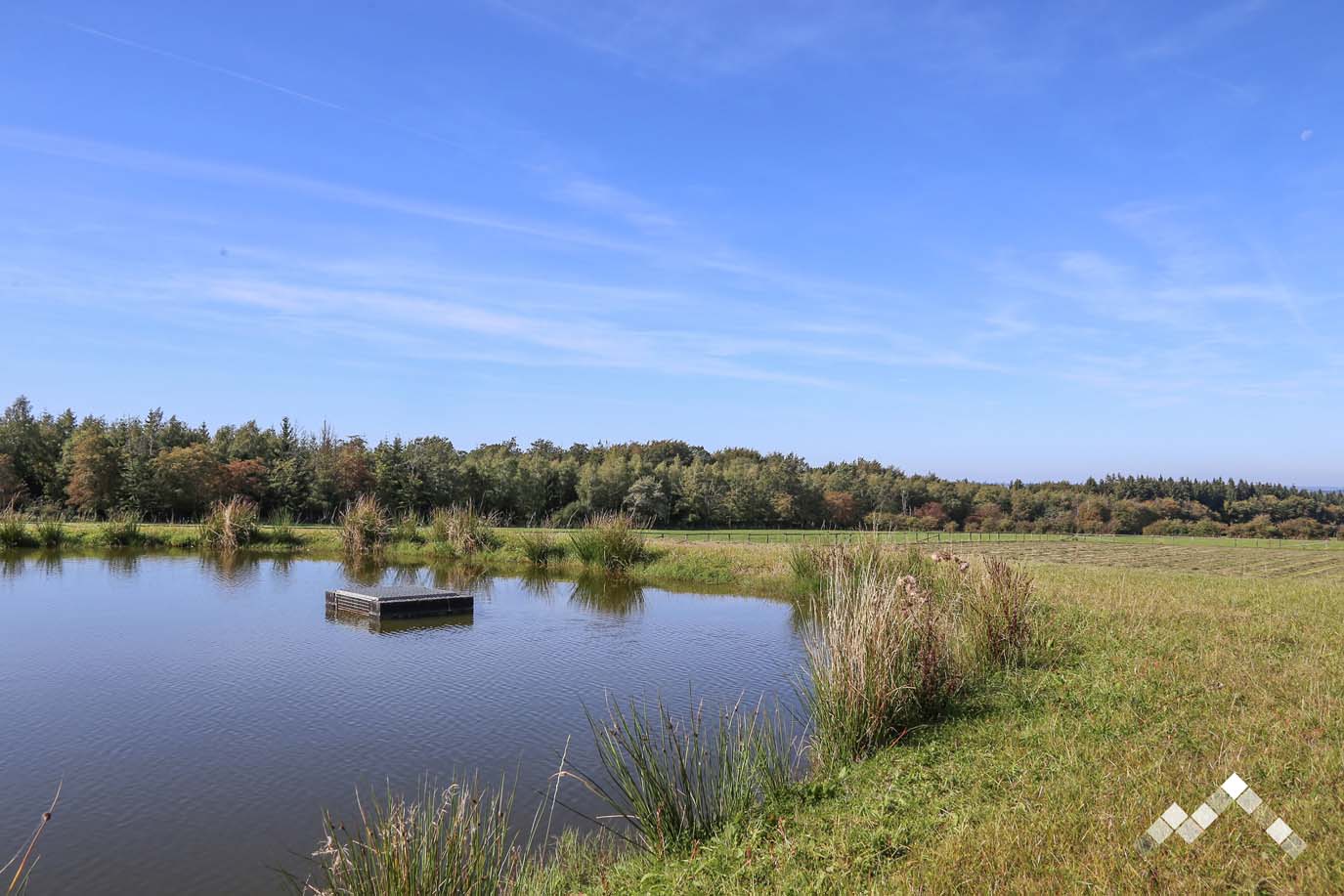 COIN DE REVE (23 pers.)-21