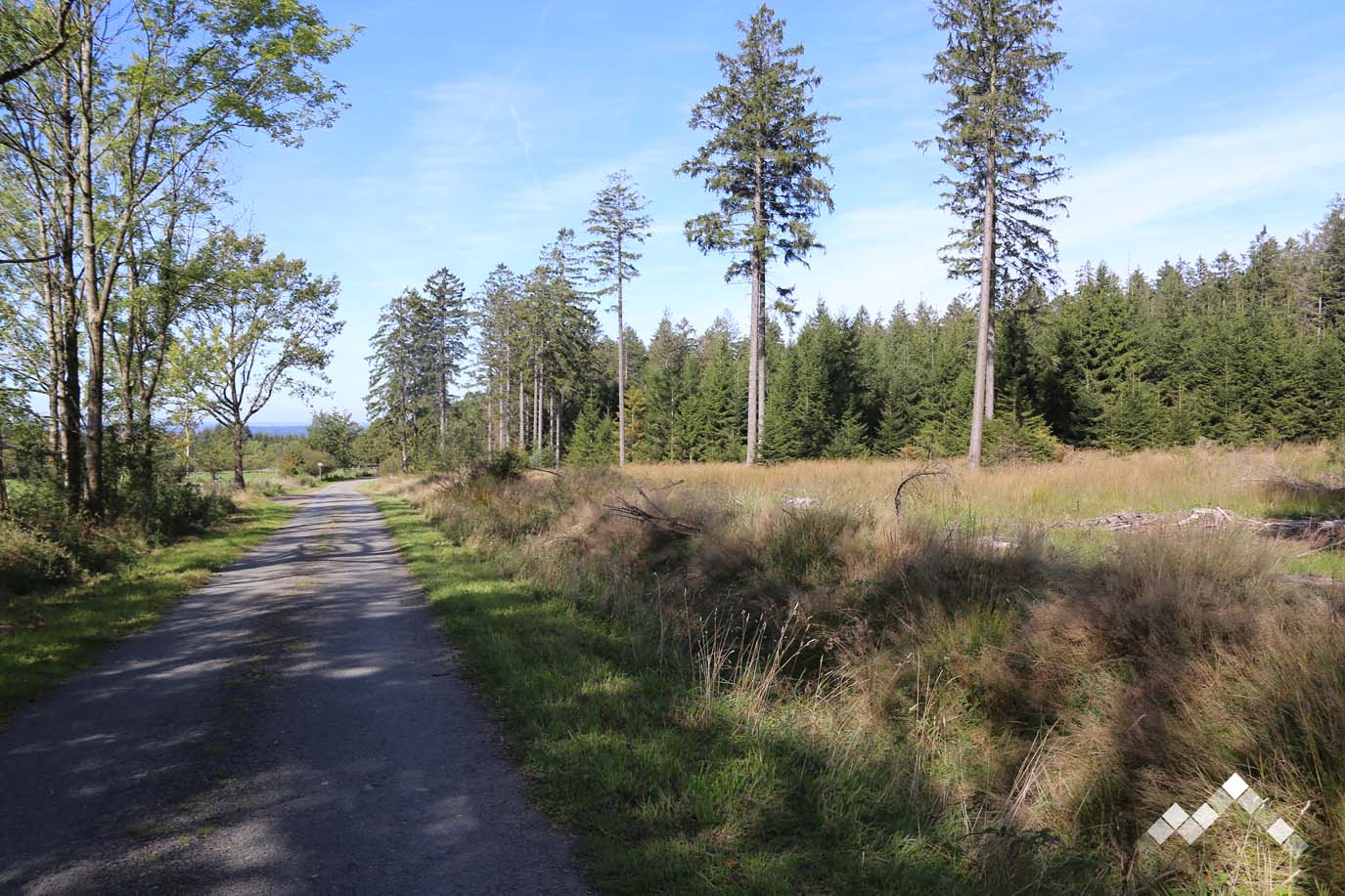 COIN DE REVE (23 pers.)-56