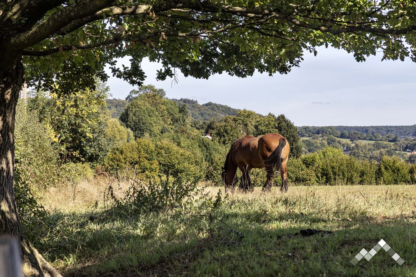 LES HAUTS DE KOGENBERG-8