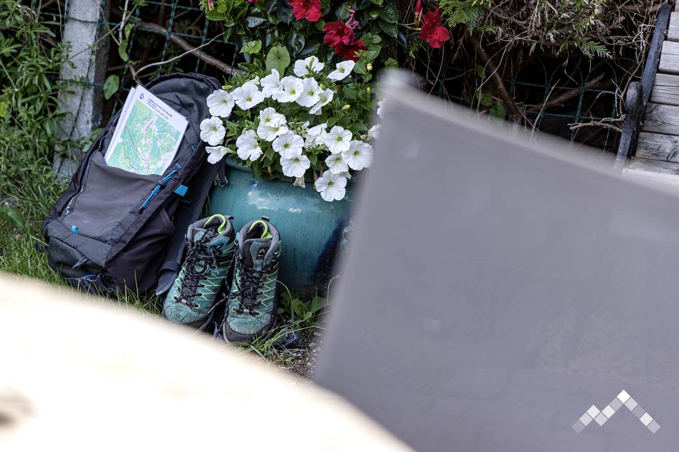 DE SOUCHE ET DE BOIS-27