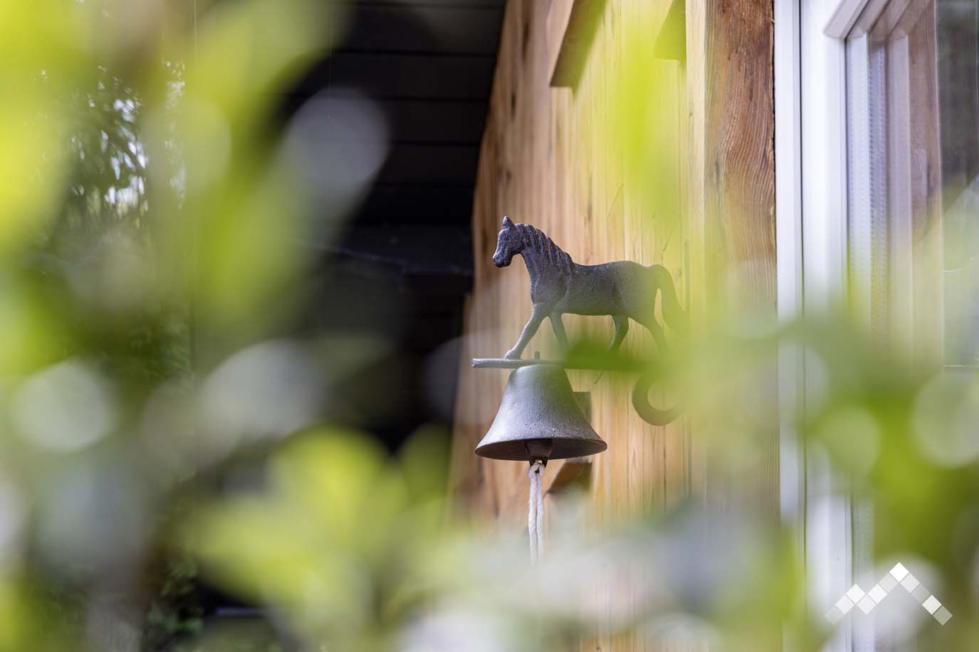 DE SOUCHE ET DE BOIS-28