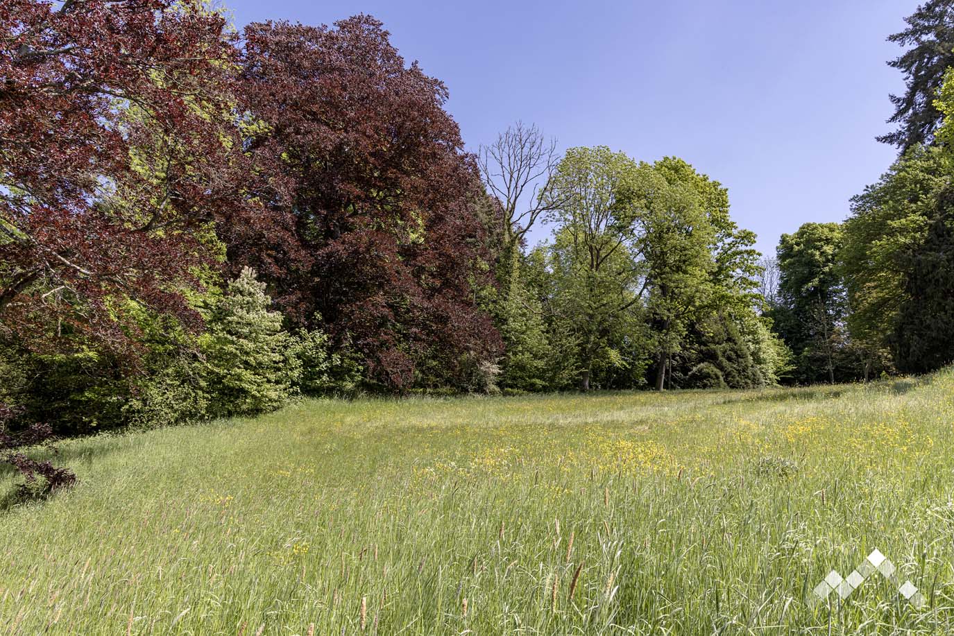 AU TOUR DE LA NATURE-10