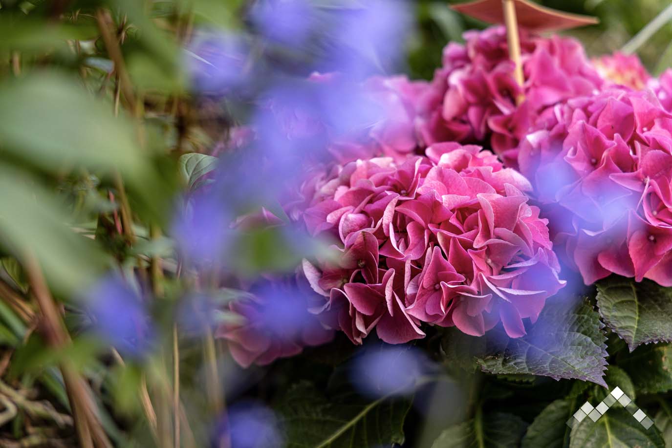 AU TOUR DE LA NATURE-34