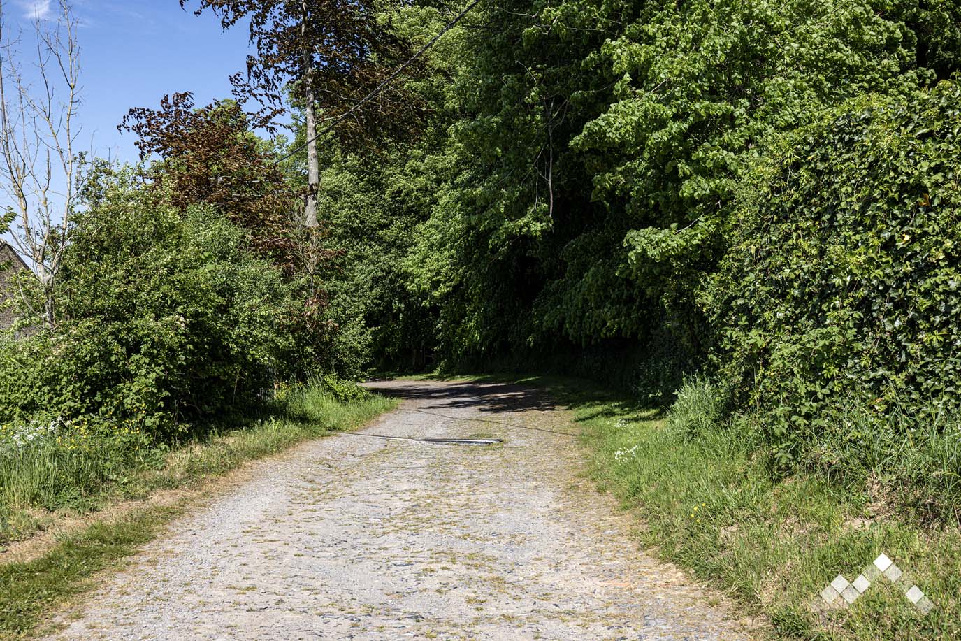 AU TOUR DE LA NATURE-39