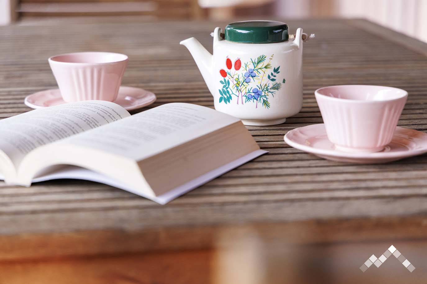 LE NID DES COUCOUS-10