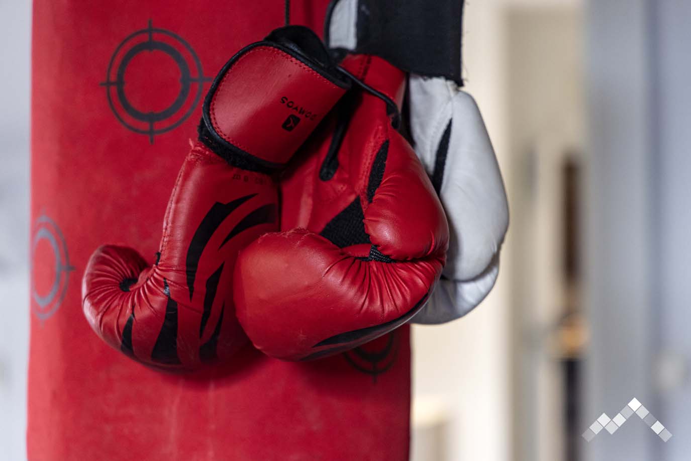 LE MANOIR SAINT-BLAISE-57