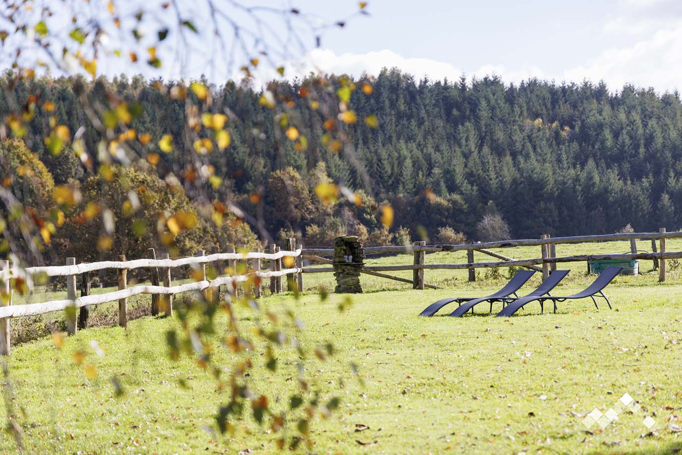 TERRE DE CONTES (14 pers.)-2