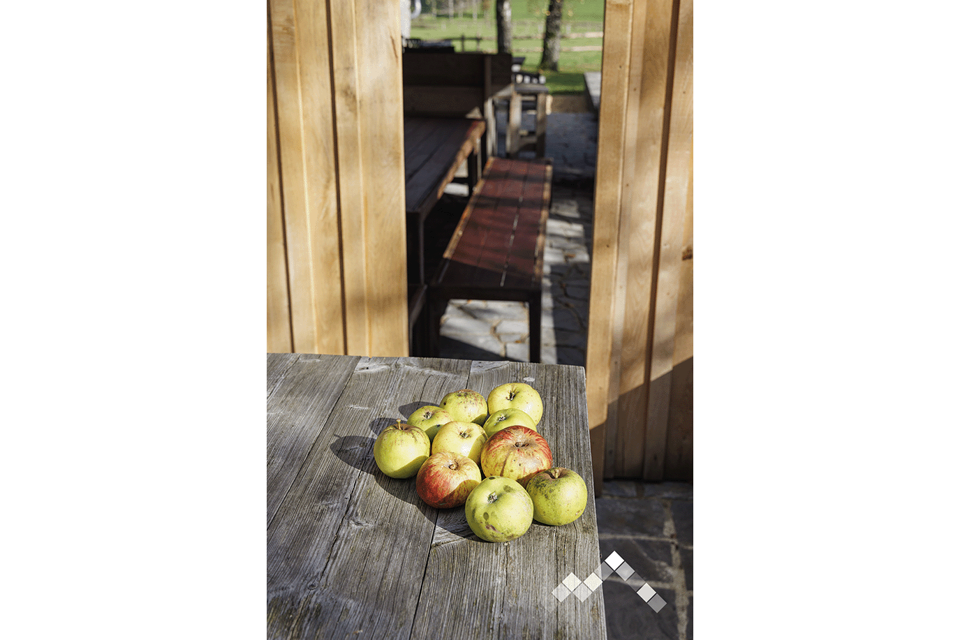 TERRE DE CONTES (14 pers.)-53