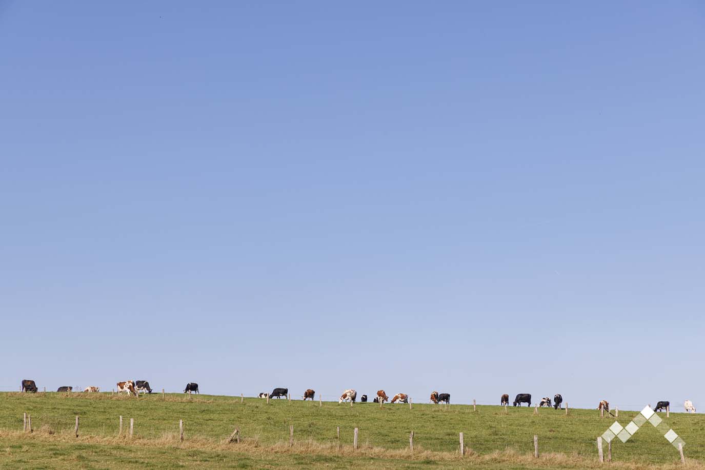 TERRE DE CONTES (14 pers.)-67