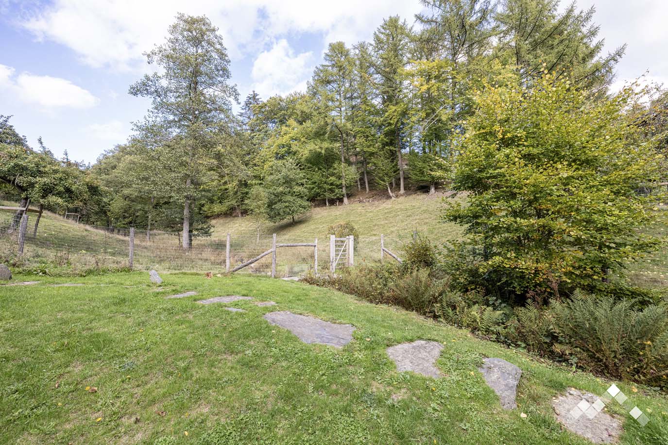 GRAINS DE FANTAISIE-80