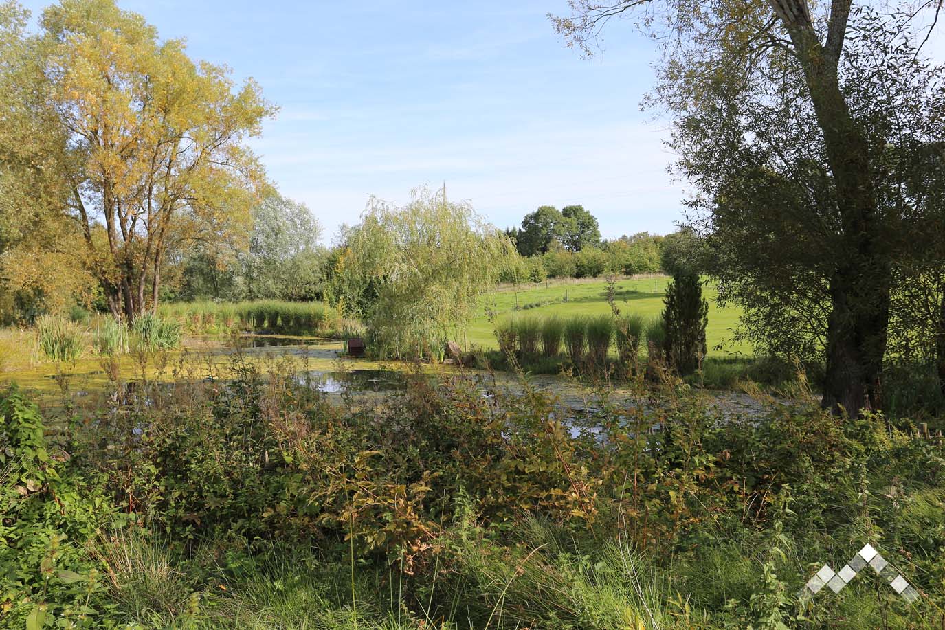 LE REPOS DU DRUIDE-2