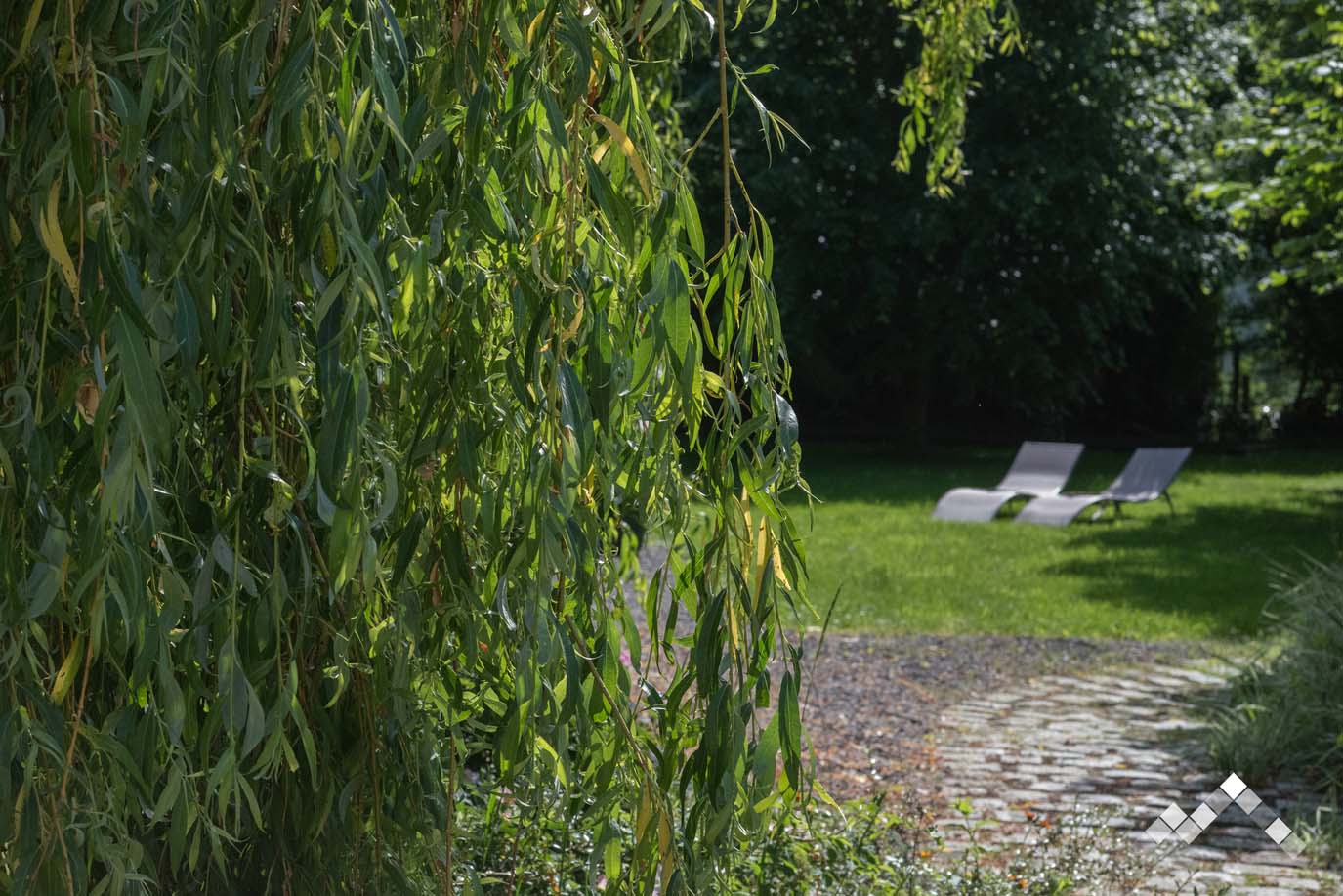 LE REPOS DU DRUIDE-13