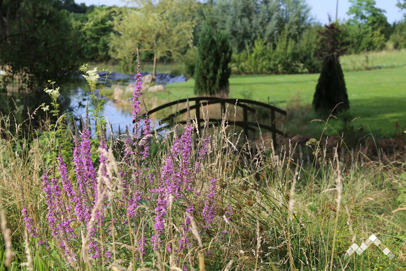 LE REPOS DU DRUIDE-28