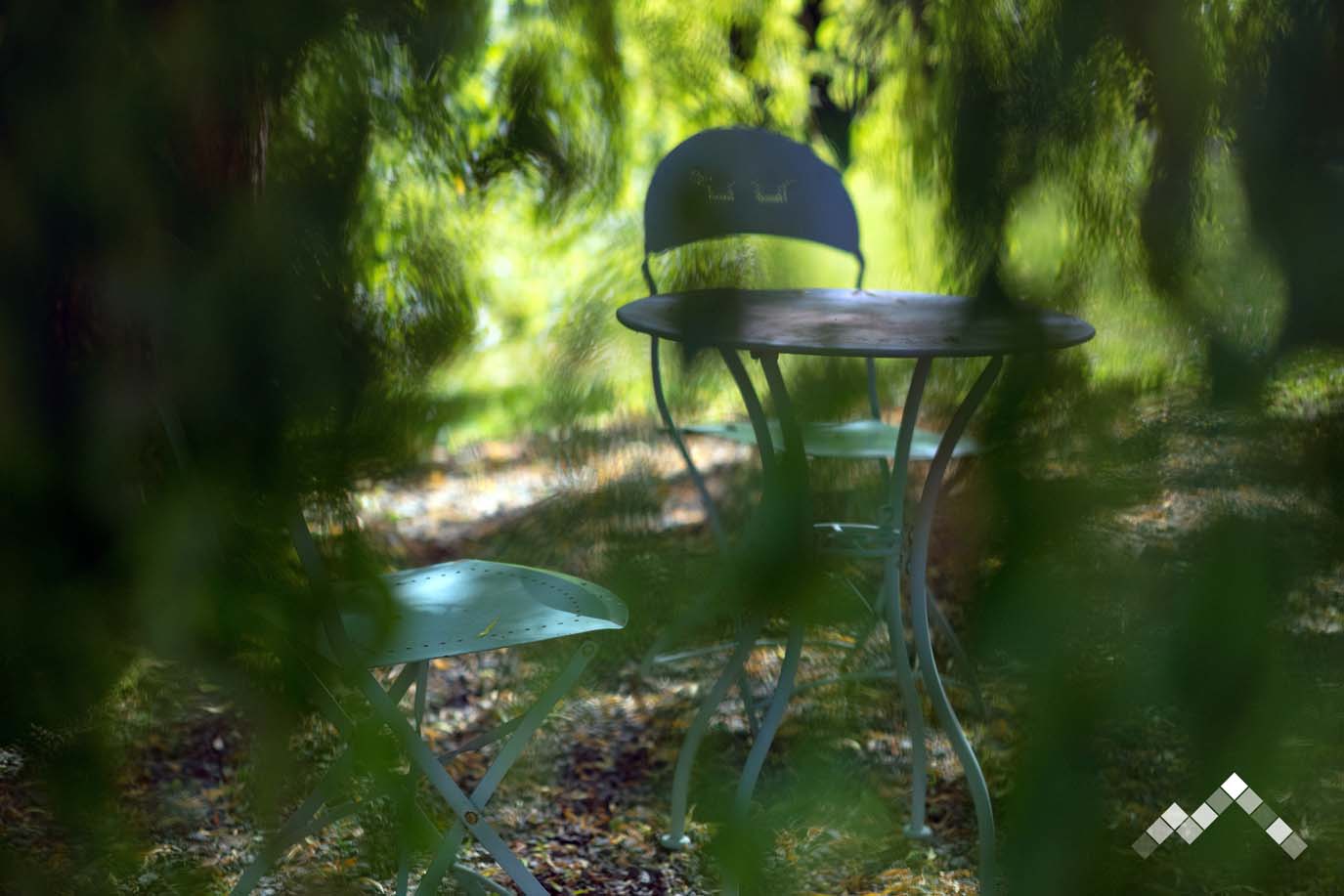 LE REPOS DU DRUIDE-45